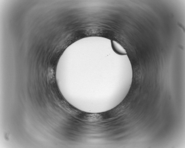 X0000101430087200807281010