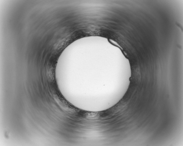 X0000101430088200807281010