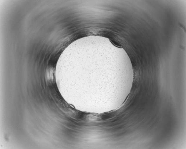 X0000101430094200807281010