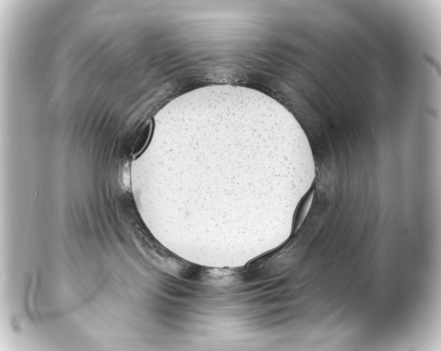 X0000101430095200807281010