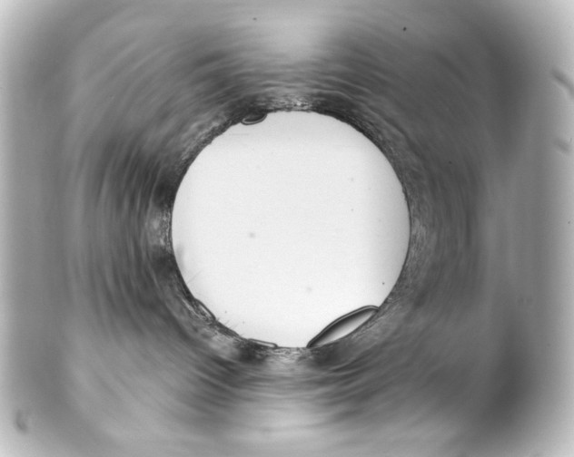 X0000101430096200807281010