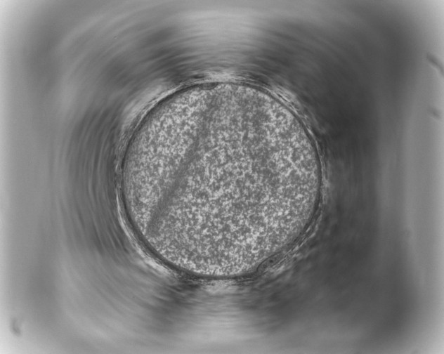 X0000101430097200807281009