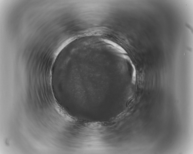 X0000101430100200807281009