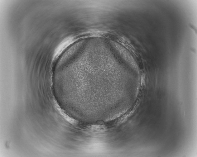 X0000101430101200807281009