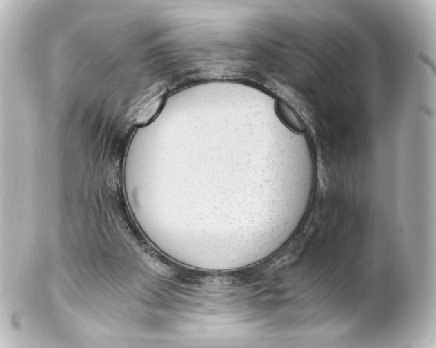 X0000101430105200807281009