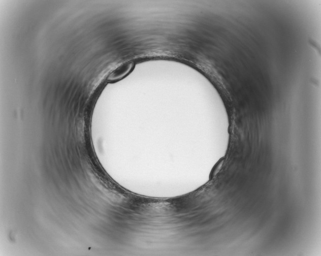 X0000101430108200807281009