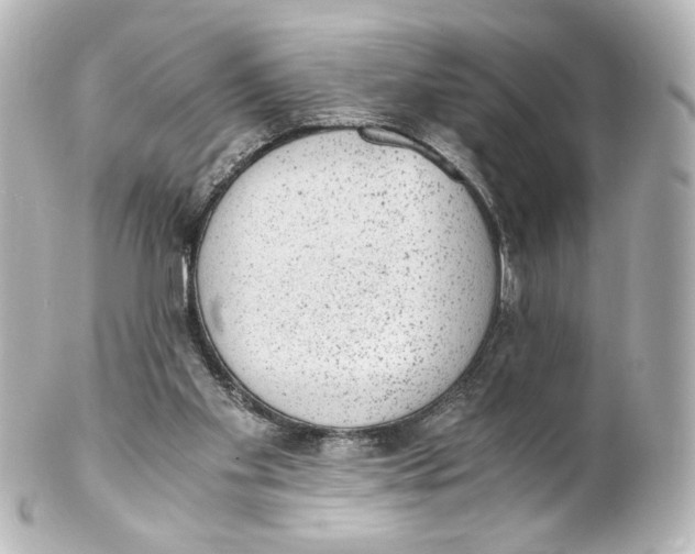 X0000101430109200807281009