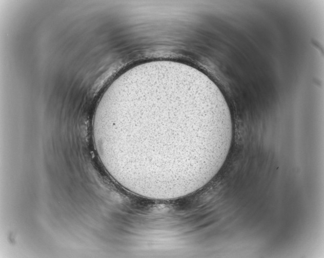 X0000101430111200807281009