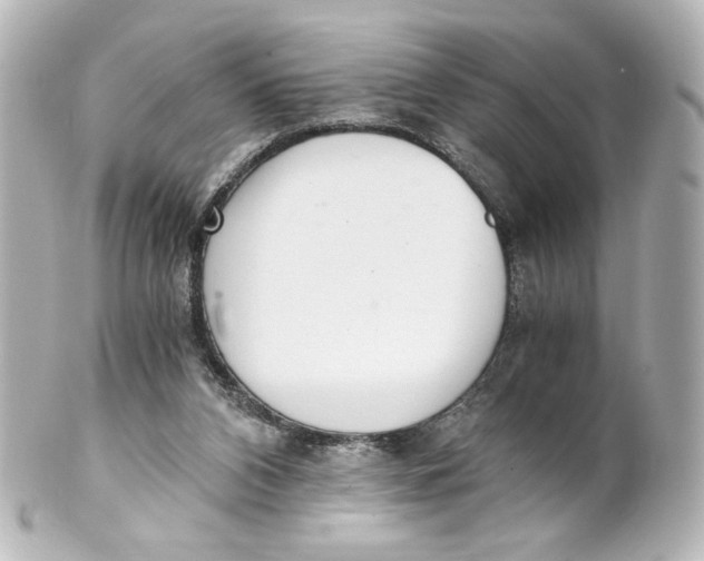 X0000101430112200807281009