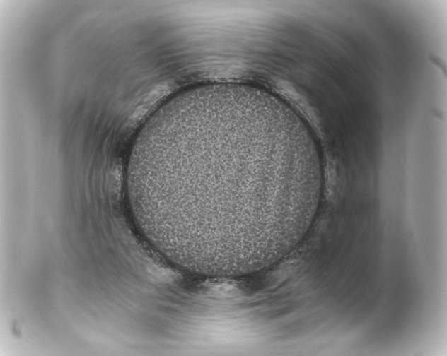 X0000101430113200807281009