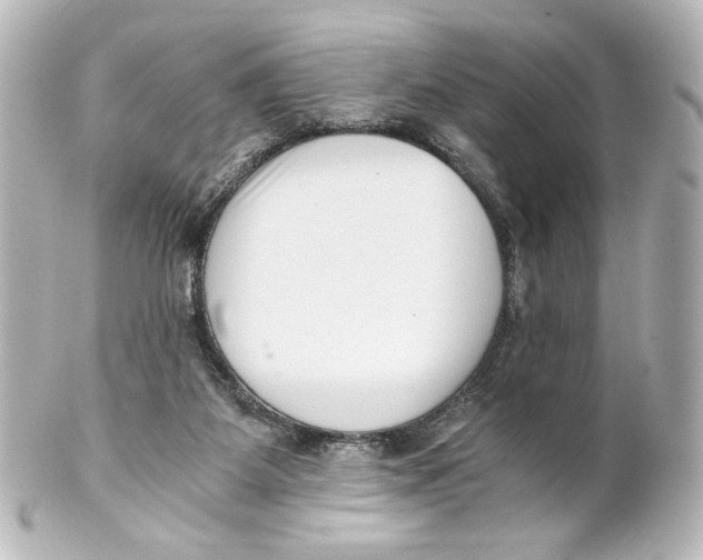 X0000101430115200807281009