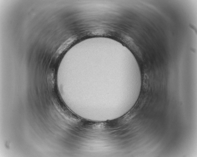 X0000101430116200807281009