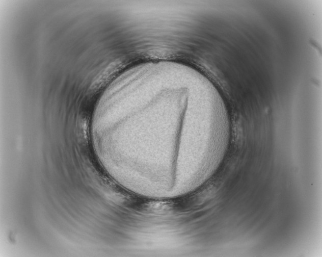 X0000101430117200807281009