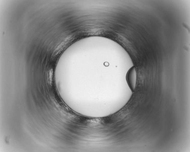 X0000101430118200807281009