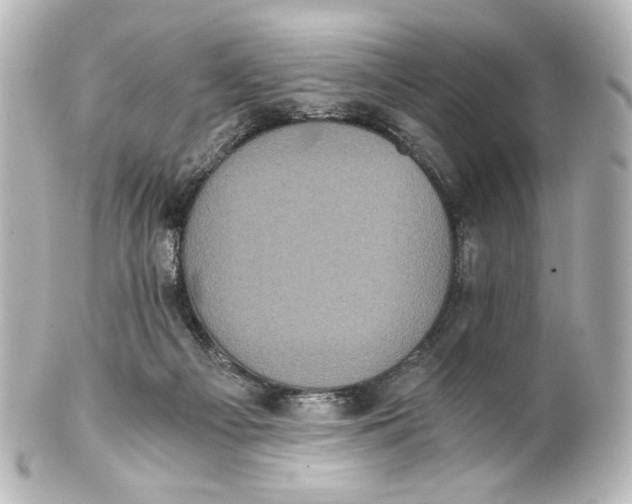 X0000101430121200807281009