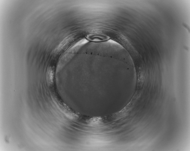 X0000101430124200807281009