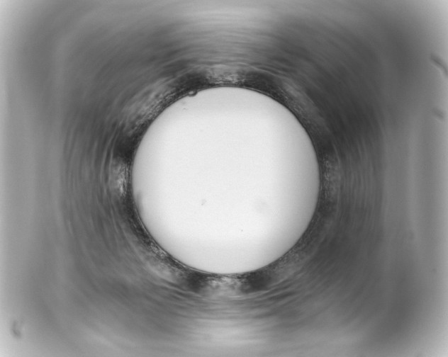 X0000101430125200807281009