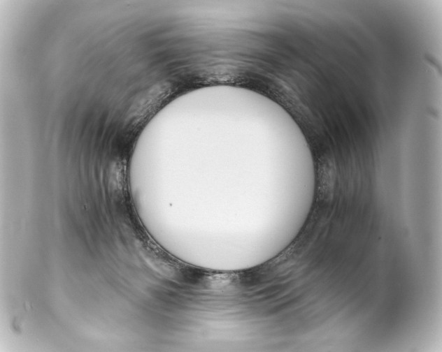 X0000101430126200807281009