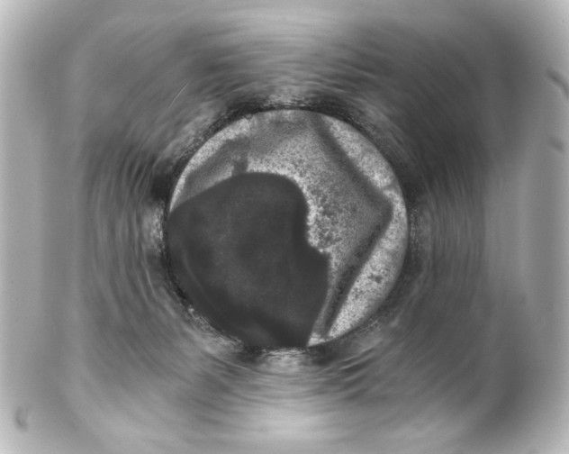 X0000101430127200807281009