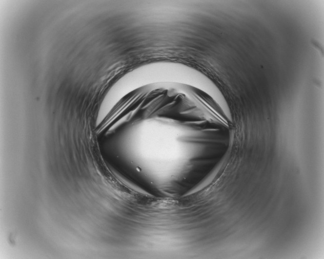 X0000101430128200807281009