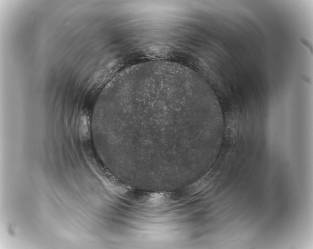 X0000101430130200807281009