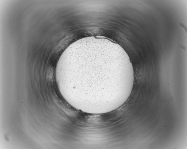 X0000101430132200807281009