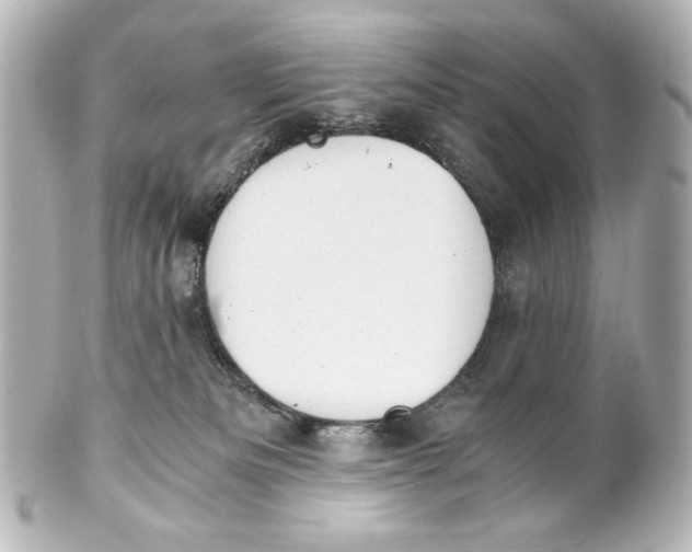 X0000101430133200807281009