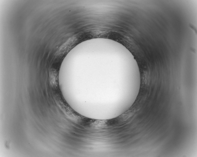 X0000101430138200807281009