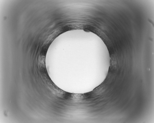 X0000101430141200807281009