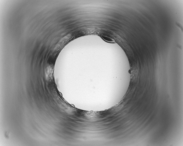 X0000101430142200807281009