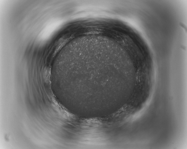 X0000101430146200807281008