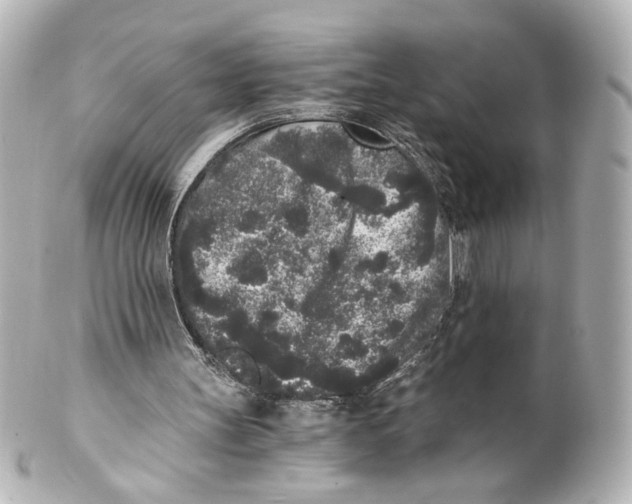 X0000101430147200807281008