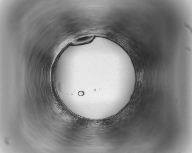 X0000101430148200807281008