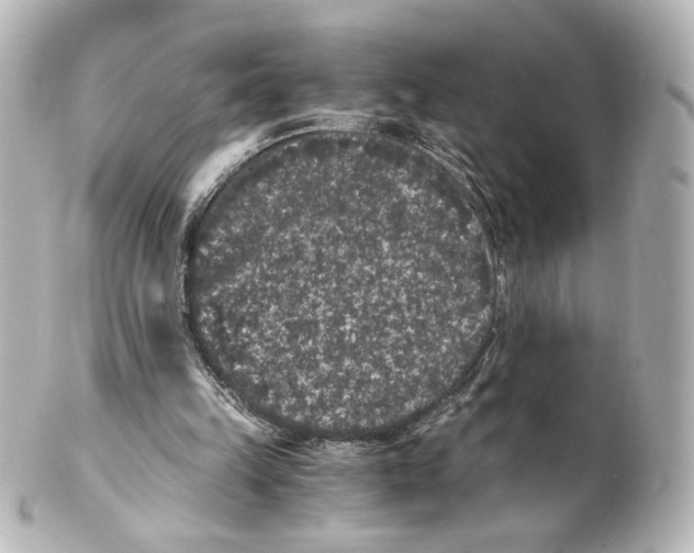 X0000101430149200807281008