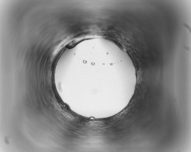 X0000101430150200807281008