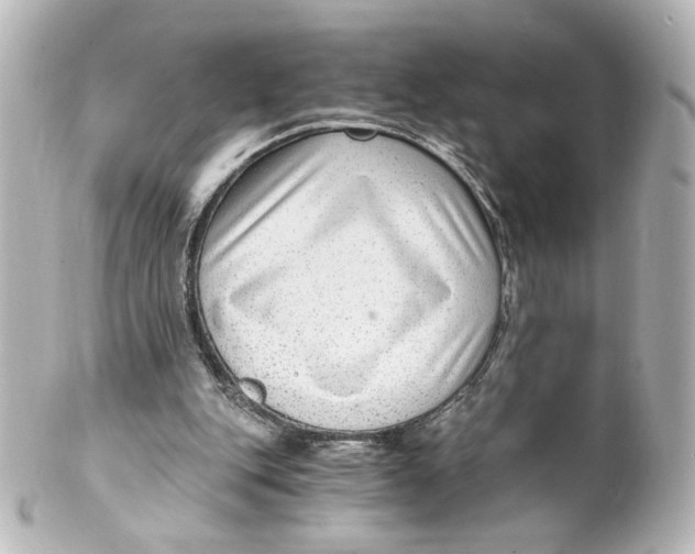 X0000101430151200807281008