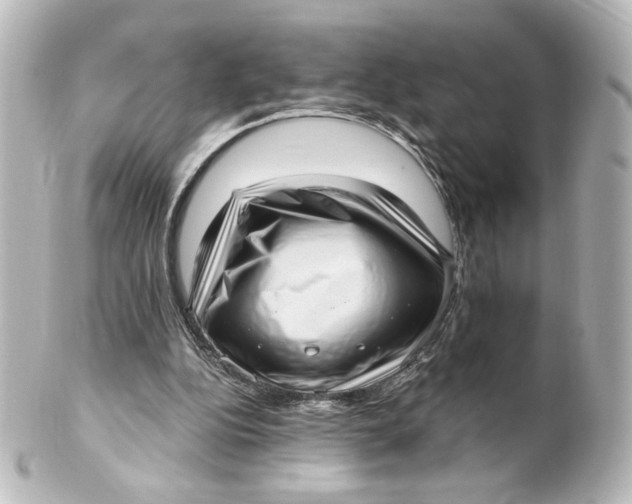 X0000101430152200807281008