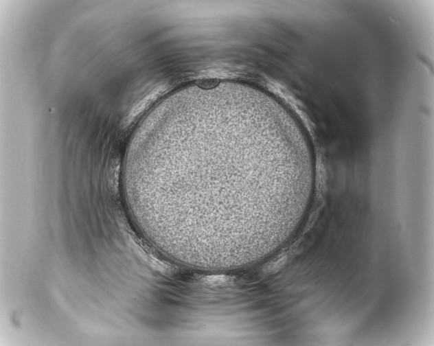 X0000101430153200807281008