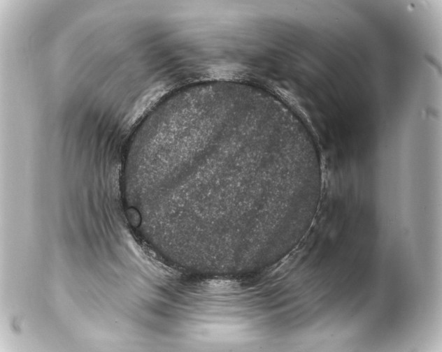 X0000101430154200807281008