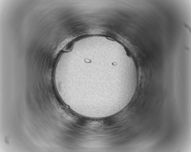 X0000101430155200807281008