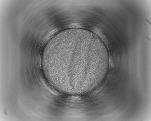 X0000101430157200807281008