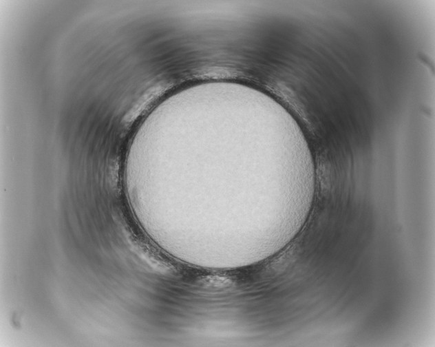 X0000101430159200807281008