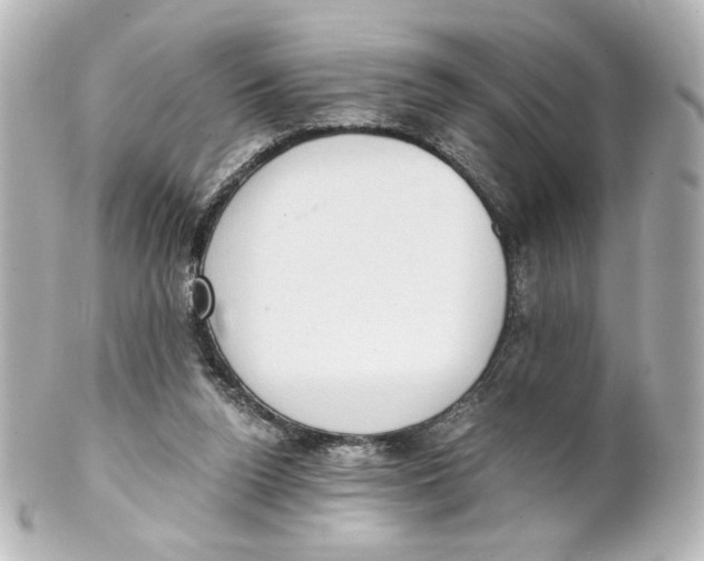 X0000101430160200807281008