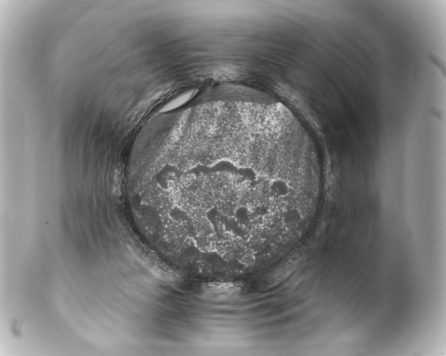 X0000101430161200807281008