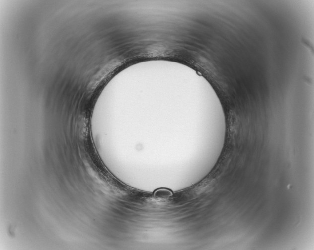 X0000101430164200807281008