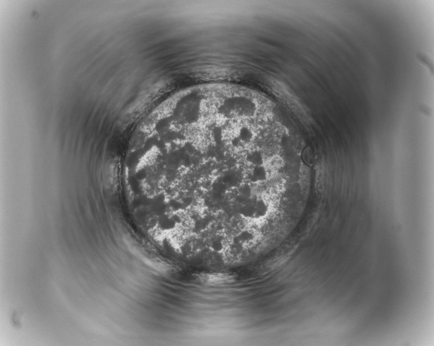 X0000101430165200807281008