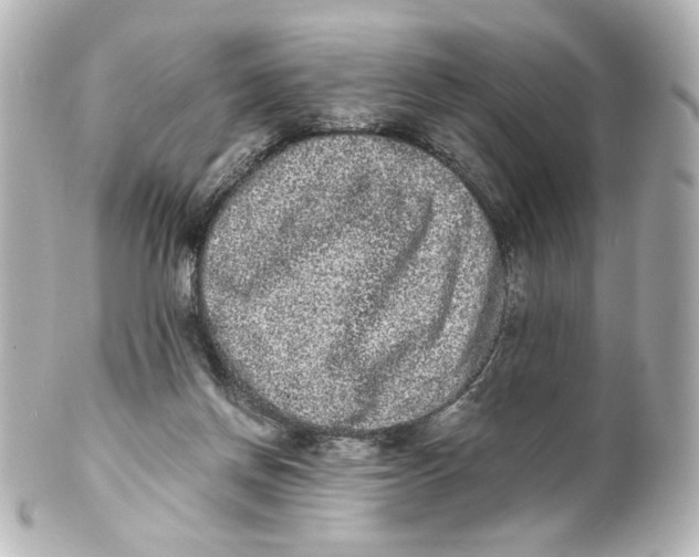 X0000101430166200807281008