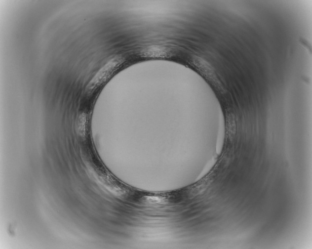 X0000101430167200807281008