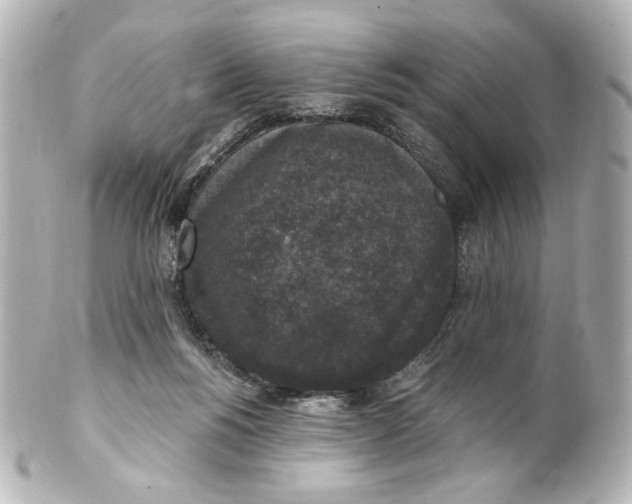 X0000101430168200807281008