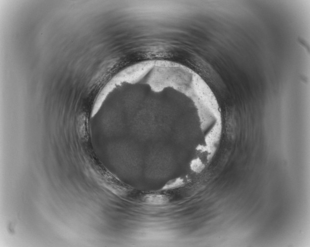 X0000101430169200807281008